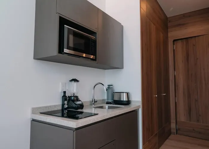Condesa - Roma Luxury 302 Apartment